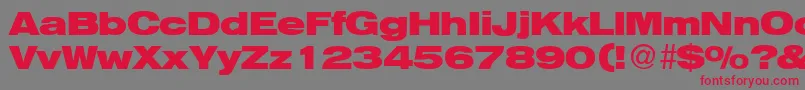 HelbaheavydbBold Font – Red Fonts on Gray Background