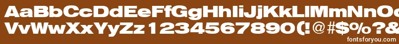 HelbaheavydbBold Font – White Fonts on Brown Background