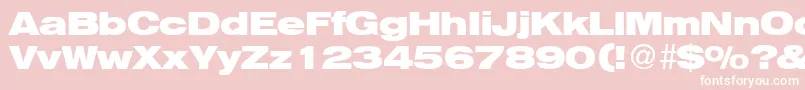 HelbaheavydbBold Font – White Fonts on Pink Background