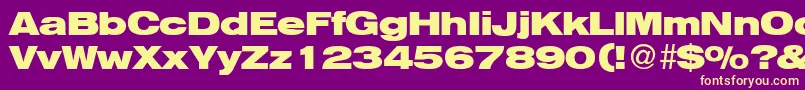 HelbaheavydbBold Font – Yellow Fonts on Purple Background