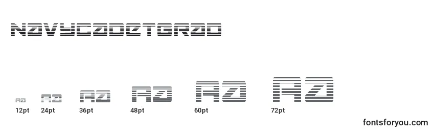 Navycadetgrad Font Sizes