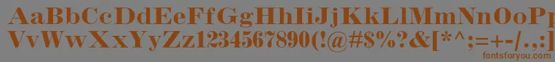 InflexmtstdBold Font – Brown Fonts on Gray Background