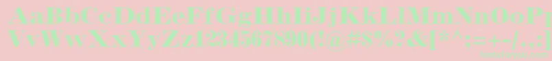 InflexmtstdBold Font – Green Fonts on Pink Background