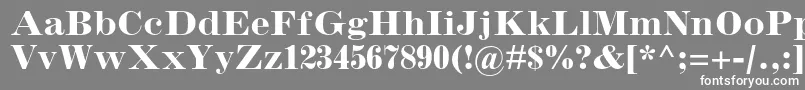 フォントInflexmtstdBold – 灰色の背景に白い文字