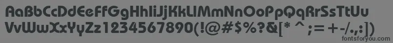 BauhausBoldBt Font – Black Fonts on Gray Background