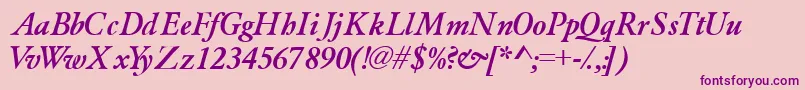Garamondlightssk ffy Font – Purple Fonts on Pink Background
