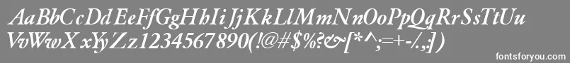 Garamondlightssk ffy Font – White Fonts on Gray Background