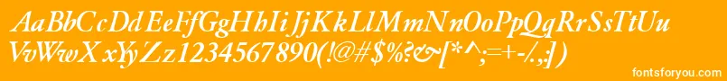 Garamondlightssk ffy Font – White Fonts on Orange Background