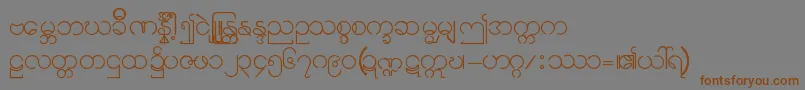 Шрифт Burmese11 – коричневые шрифты на сером фоне