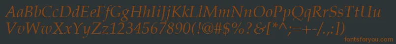PalatinoLtItalic Font – Brown Fonts on Black Background
