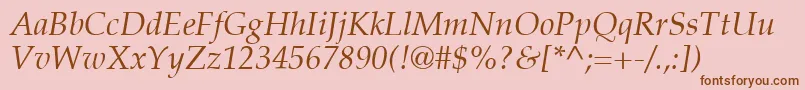 PalatinoLtItalic Font – Brown Fonts on Pink Background