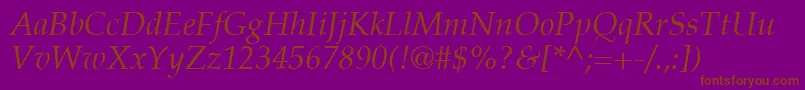 PalatinoLtItalic Font – Brown Fonts on Purple Background