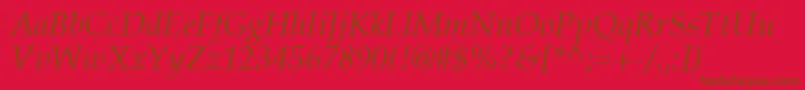 PalatinoLtItalic Font – Brown Fonts on Red Background