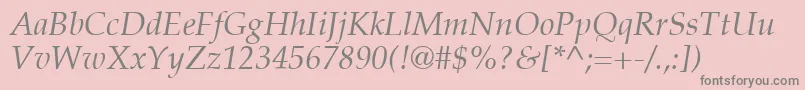 PalatinoLtItalic Font – Gray Fonts on Pink Background