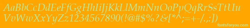 PalatinoLtItalic Font – Green Fonts on Orange Background