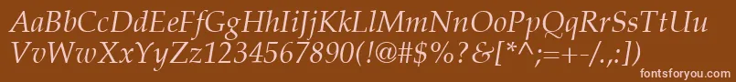 PalatinoLtItalic Font – Pink Fonts on Brown Background