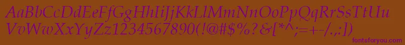 PalatinoLtItalic Font – Purple Fonts on Brown Background