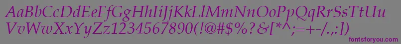 PalatinoLtItalic-Schriftart – Violette Schriften auf grauem Hintergrund