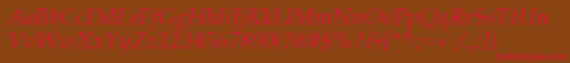 PalatinoLtItalic Font – Red Fonts on Brown Background