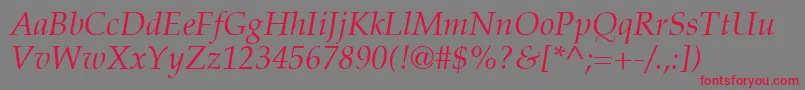 PalatinoLtItalic Font – Red Fonts on Gray Background