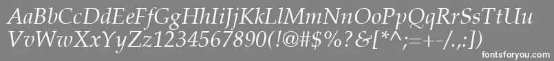 PalatinoLtItalic Font – White Fonts on Gray Background