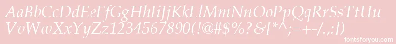 PalatinoLtItalic Font – White Fonts on Pink Background