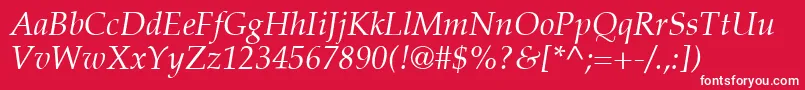 PalatinoLtItalic Font – White Fonts on Red Background