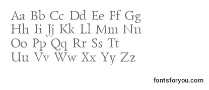 Обзор шрифта Lzr45C