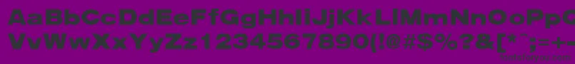 ArenablackextendedRegular Font – Black Fonts on Purple Background