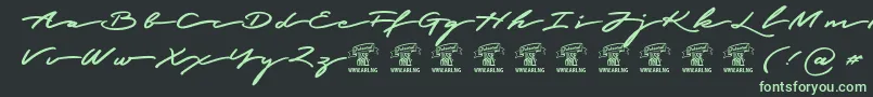 More about GracedscriptPersonaluseonly Font GracedscriptPersonaluseonly Font – Green Fonts on Black Background