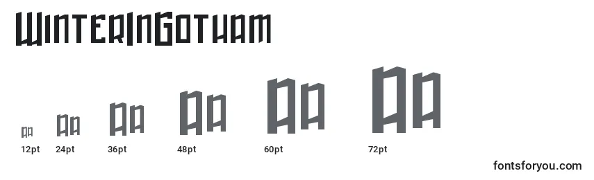 WinterInGotham Font Sizes