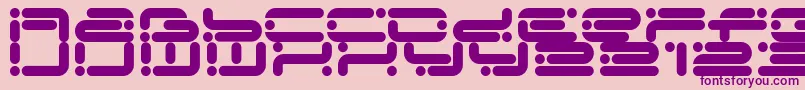 Chicory Font – Purple Fonts on Pink Background
