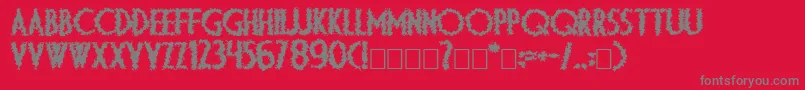 Ds Diploma Art Bold Font – Gray Fonts on Red Background