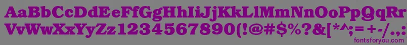 BookBoldRegular Font – Purple Fonts on Gray Background