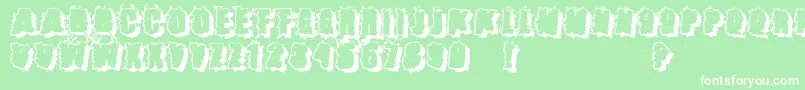 Catch22 Font – White Fonts on Green Background