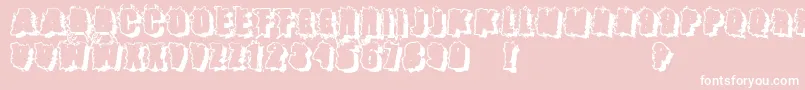 Catch22 Font – White Fonts on Pink Background