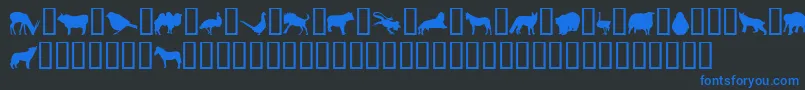 JasnaP Font – Blue Fonts on Black Background