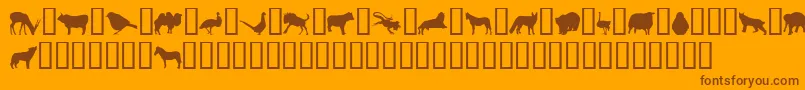 JasnaP-Schriftart – Braune Schriften auf orangefarbenem Hintergrund