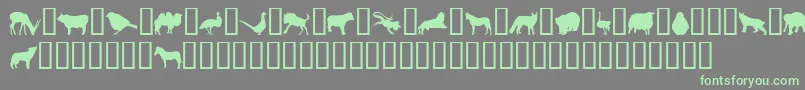 Шрифт JasnaP – зелёные шрифты на сером фоне