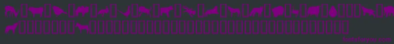 JasnaP Font – Purple Fonts on Black Background