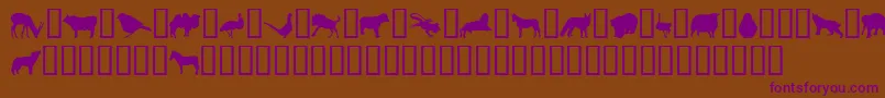 JasnaP Font – Purple Fonts on Brown Background