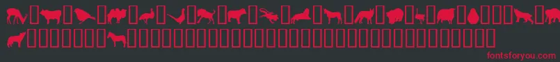 Saiba mais sobre a fonte JasnaP Fonte JasnaP – fontes vermelhas em um fundo preto
