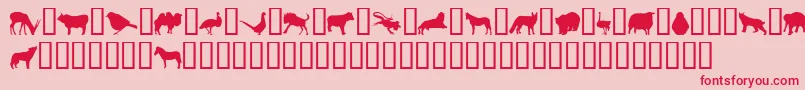 Weitere Informationen zur JasnaP-Schriftart JasnaP-Schriftart – Rote Schriften auf rosa Hintergrund