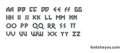 Обзор шрифта Dsnobl