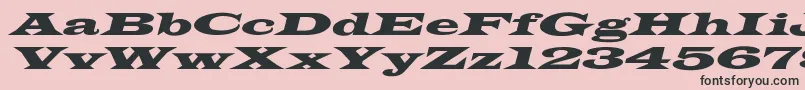 JamesWideextoblNormal Font – Black Fonts on Pink Background