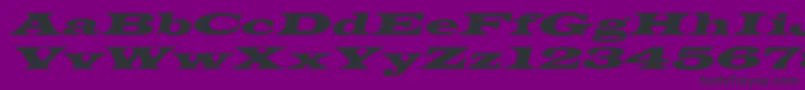 JamesWideextoblNormal Font – Black Fonts on Purple Background