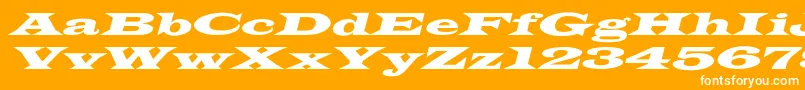 フォントJamesWideextoblNormal – オレンジの背景に白い文字