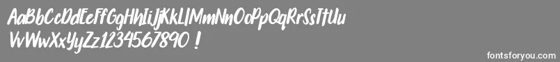 Weitere Informationen zur Travelgoals-Schriftart Travelgoals-Schriftart – Weiße Schriften auf grauem Hintergrund