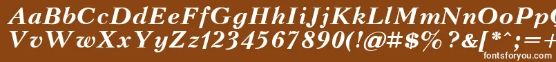 KudrashovBoldItalic Font – White Fonts on Brown Background