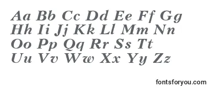KudrashovBoldItalic Font
